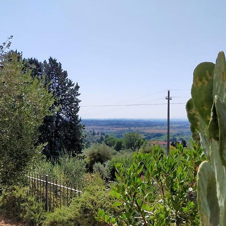 L'Olivo Appartamento Turistico Lucignano Kültér fotó