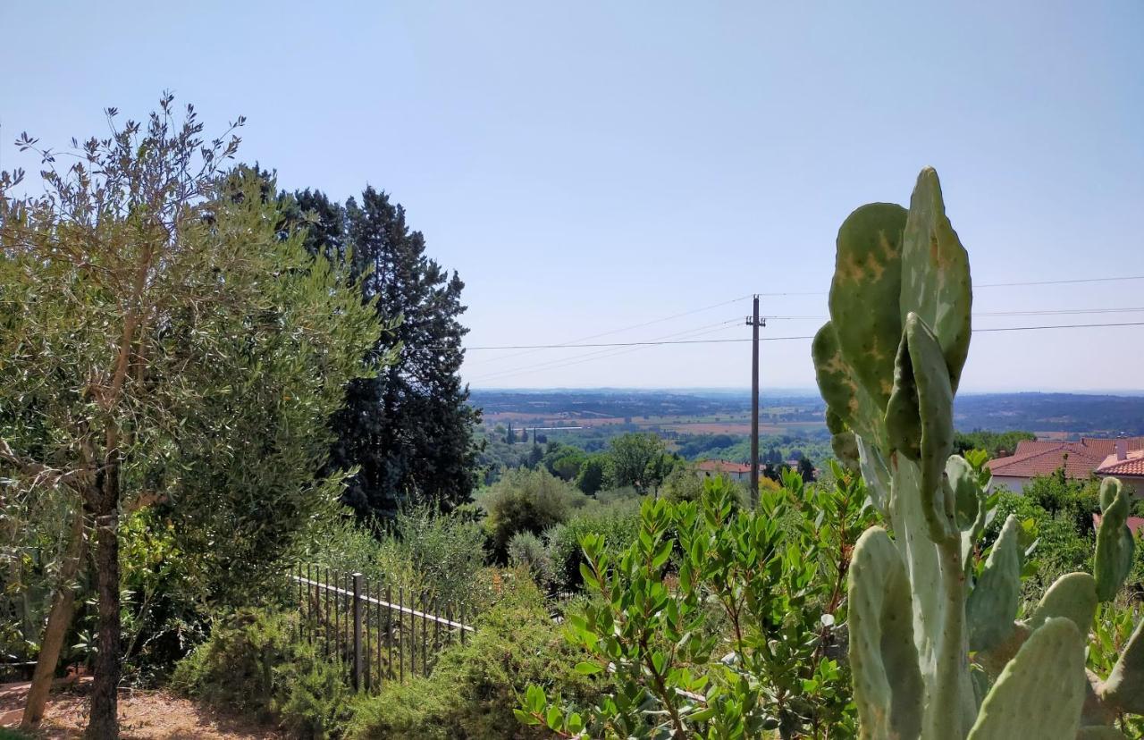 L'Olivo Appartamento Turistico Lucignano Kültér fotó